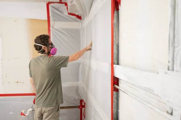 Best Post-Construction Mold Inspection  in New Waverly, TX